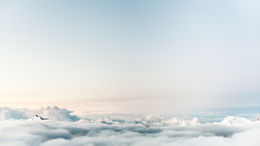 Grace Shop 1 Untitled design 76